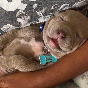 Meet your Posher, Corey